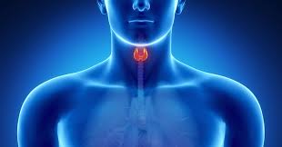 35 проверенных способов профилактики заболеваний щитовидной железы