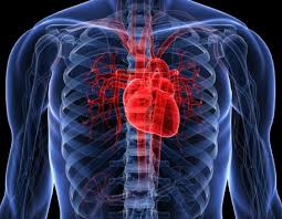 Одышка из-за слабого сердца – причины и профилактика