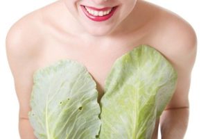 cabbage leaves for milk breast