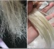 11 причин мертвых волос – как лечить