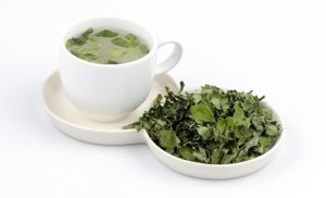 moringa tea leaves