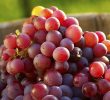 Является ли бессемянный виноград полезным для здоровья?