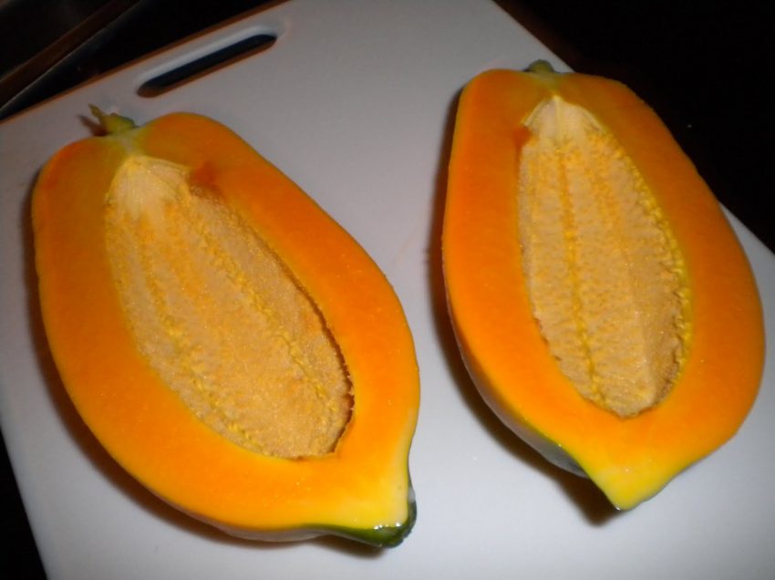 Бесплодная папайя для здоровья – положительные и отрицательные эффекты