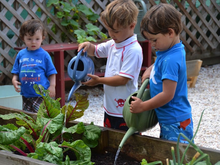 Преимущества садоводства в раннем детстве
