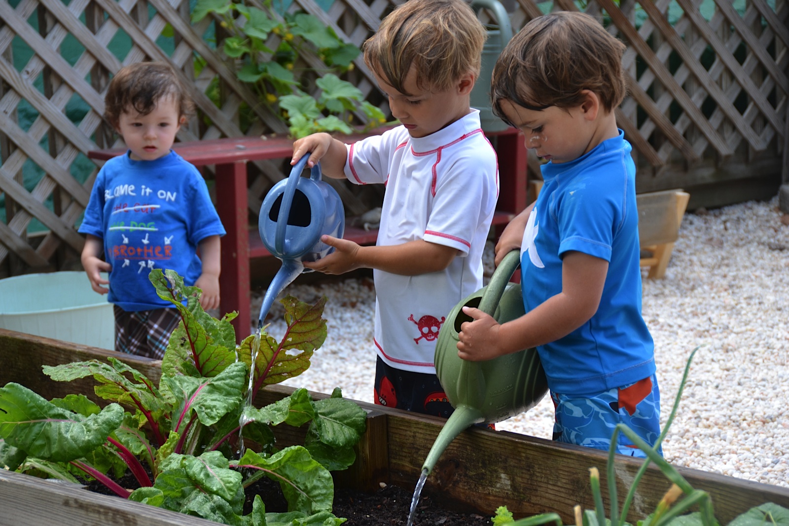gardening in early childhood