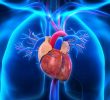 Протекающие клапаны сердца: причины, симптомы, лечение